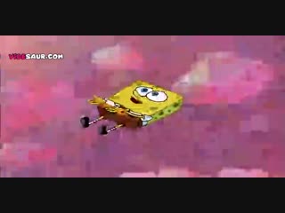 Videsaur Your Video Meme Source